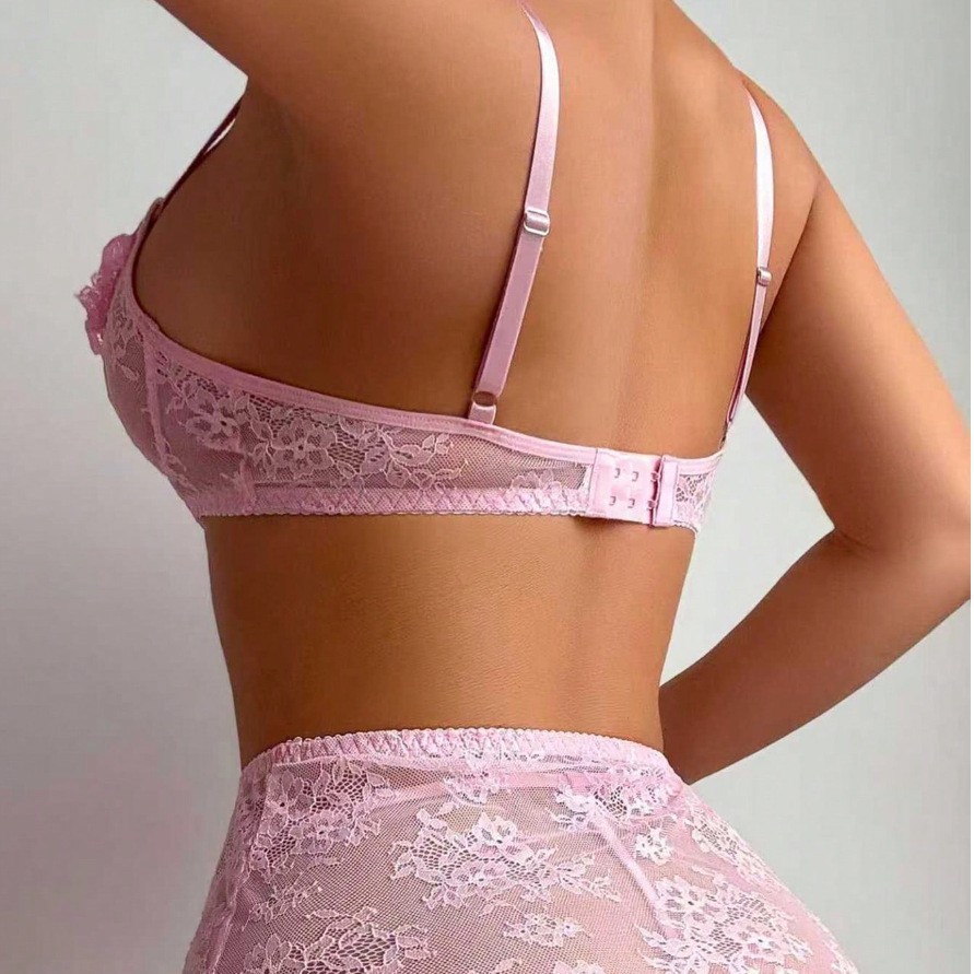 Sexy Lingerie See-through Bra  - Sheer Mesh Bra ulasan dan harga